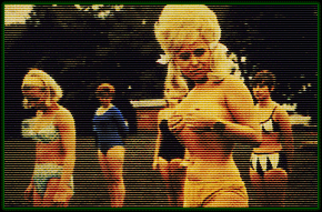 CARRY ON CAMPING